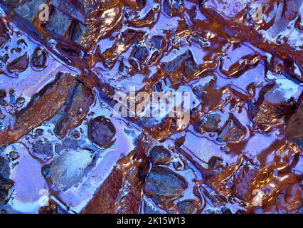Top view of small bird feather placed on uneven rock formation covered with water Stock Photo