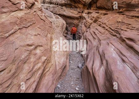 Tourist in outerwear with backpack standing near rough sandstone walls of Little Wild Horse Canyon during trip in Utah, California Stock Photo