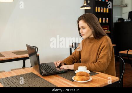 Young female in sweater leaning on hand and browsing data on laptop while working remotely during breakfast in cafeteria Stock Photo