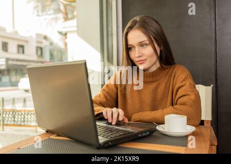 Young focused female in sweater leaning on hand and browsing data on laptop while working remotely during breakfast in cafeteria Stock Photo