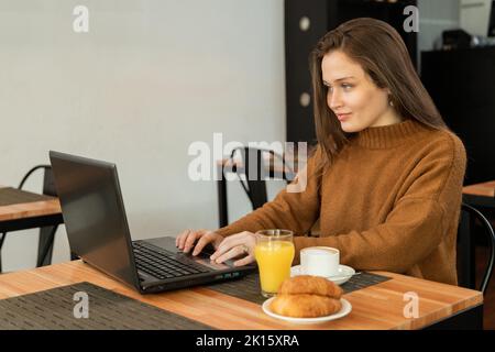 Young focused female in sweater leaning on hand and browsing data on laptop while working remotely during breakfast in cafeteria Stock Photo