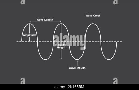 wave diagram labeled rest position