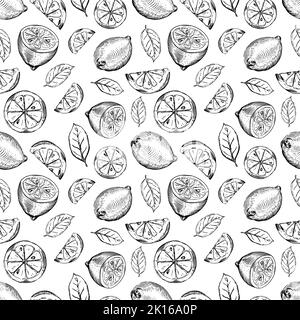 A lot of lemon sketches, sliced lemons and lemon leaves in classic engraving style, seamless pattern on white Stock Vector