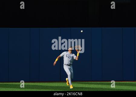 Tampa Bay Rays' Jose Siri reacts after lining out against the Miami Marlins  during the fifth inning of a baseball game Wednesday, July 26, 2023, in St.  Petersburg, Fla. (AP Photo/Mike Carlson