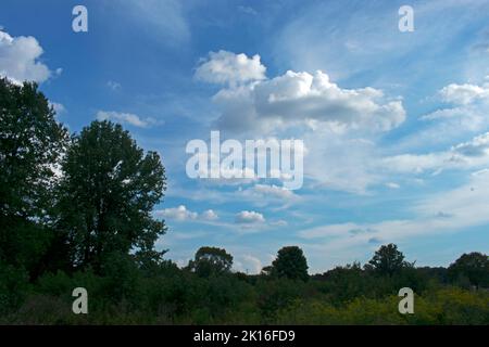 Beautiful cumulus and cirrus clouds against a deep blue sky viewed over parkland at Davidson's Mill Pond Park in East Brunswick, New Jersey, USA -02 Stock Photo