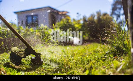 Man mowing tall grass with electric or petrol lawn trimmer in backyard. Gardening care tools and equipment. Process of lawn trimming with hand mower Stock Photo