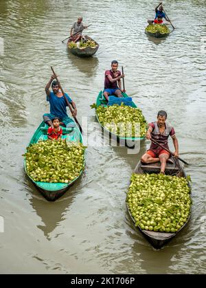 Barishal, Bangladesh. 16th September, 2022. Among some of the most fascinating things in the South region of Bangladesh is the beautiful Floating Guava Market of Swarupkathi of Pirojpur in Barishal Division. The guava was a culinary hit with the locality and its fame gradually spread across the country. Today guava is cultivated in five unions of Swarupkathi across 640 hectares of land. For more than 100 years, the local farmers have been experiencing the ups and downs of life along with the ebb and flow of the river. Many farmers and wholesalers gather here every day. Stock Photo