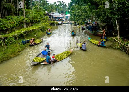 Barishal, Bangladesh. 16th September, 2022. Among some of the most fascinating things in the South region of Bangladesh is the beautiful Floating Guava Market of Swarupkathi of Pirojpur in Barishal Division. The guava was a culinary hit with the locality and its fame gradually spread across the country. Today guava is cultivated in five unions of Swarupkathi across 640 hectares of land. For more than 100 years, the local farmers have been experiencing the ups and downs of life along with the ebb and flow of the river. Many farmers and wholesalers gather here every day. Stock Photo