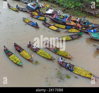 Barishal, Bangladesh. 16th September, 2022. Among some of the most fascinating things in the South region of Bangladesh is the beautiful Floating Guava Market of Swarupkathi of Pirojpur in Barishal Division. The guava was a culinary hit with the locality and its fame gradually spread across the country. Today guava is cultivated in five unions of Swarupkathi across 640 hectares of land. For more than 100 years, the local farmers have been experiencing the ups and downs of life along with the ebb and flow of the river. Many farmers and wholesalers gather here every day. Stock Photo