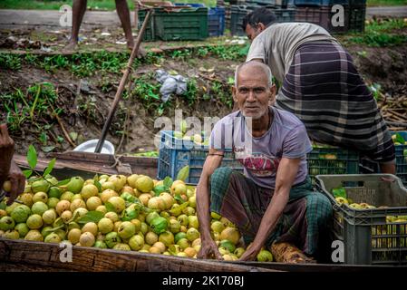 Barishal, Bangladesh. 16th September, 2022. Among some of the most fascinating things in the South region of Bangladesh is the beautiful Floating Guava Market of Swarupkathi of Pirojpur in Barishal Division. The guava was a culinary hit with the locality and its fame gradually spread across the country. Today guava is cultivated in five unions of Swarupkathi across 640 hectares of land. For more than 100 years, the local farmers have been experiencing the ups and downs of life along with the ebb and flow of the river. Many farmers and wholesalers gather here every day. Stock Photo