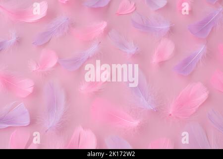 Beautiful soft pink purple feathers and fluff on pink background. Abstract modern festive, love, valentines day, romantic, easter background Stock Photo