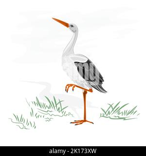 Stork white wild water bird vector illustration Stock Vector