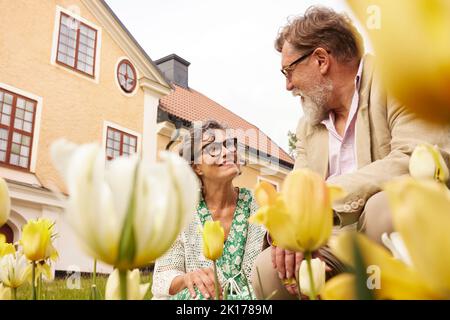 Smiling couple looking at each other Stock Photo