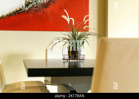 a isolated close up of a plant on a dining table in a luxury apartment Stock Photo