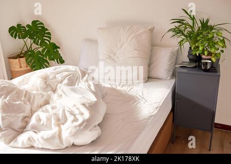 An unmade empty bed in the sunlight with plants in bedroom Stock Photo