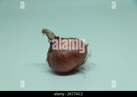 onion, isolated on white background, clipping path, full depth of field Stock Photo