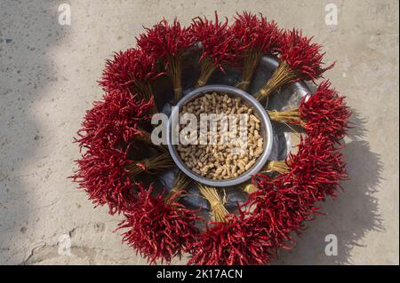 Congjiang, Congjiang, China. 16th Sep, 2022. On September 15, 2022, villagers dry Chaotian peppers and peanuts at the Paiah Miao Village in Donglang Town, Congjiang County, Guizhou Province.During the golden autumn season, the annual autumn sunbathing activity was held in Pai A Miao Village, Donglang Town, Congjiang County, Qiandongnan Miao and Dong Autonomous Prefecture, Guizhou Province. ''Sun'' out the harvest picture. Stock Photo