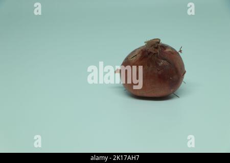 Brown onion isolated on white background Stock Photo