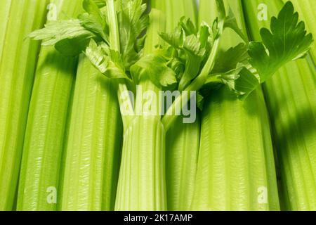 celery stalks and leaves Stock Photo