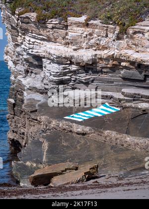 Empty striped blue towel in a rocky beach full of seaweed and sea in the background. Stock Photo