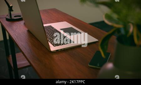 rear view of laptop plant in foreground Stock Photo