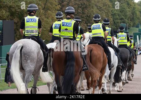 Windsor, Berkshire, UK. 16th September, 2022. Mounted Police from a number of units across the UK including Thames Valley Police were out on patrol on the Long Walk in Windsor today. A huge security operation is underway ahead of Her Majesty the Queen's State Funeral on Monday. Her Majesty's coffin will return to Windsor along the Long Walk on Monday where, following a committal service, she then will be laid to rest in the King George VI Memorial Chapel, St George's Chapel at Windsor Castle at a private ceremony attended by the Royal family. Credit: Maureen McLean/Alamy Live News Stock Photo