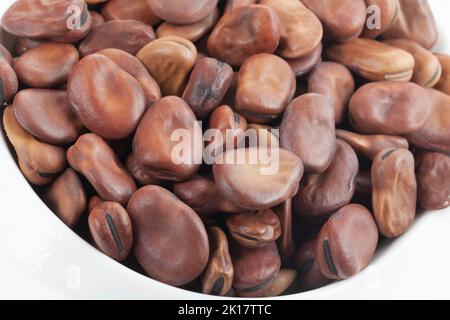 Dried brown fava beans or broad beans, an important ingredient in Middle Eastern cooking, where they are used both for Egyptian foul meddames Stock Photo