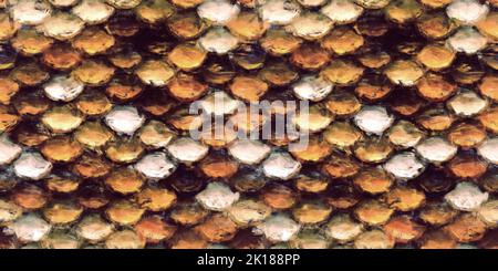 Seamless Reptile Scale Background Stock Photo - Image of abstract,  decorative: 54023712