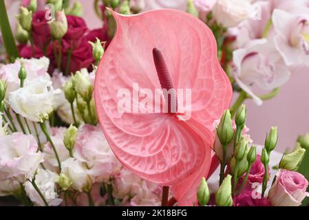 Beautiful pink Anthirium in a flower arrangement Stock Photo