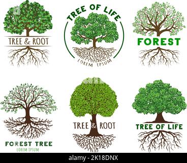 Life tree emblem template. Wisdom and harmony trees with roots, vibrant leaves on branches vector illustration set Stock Vector