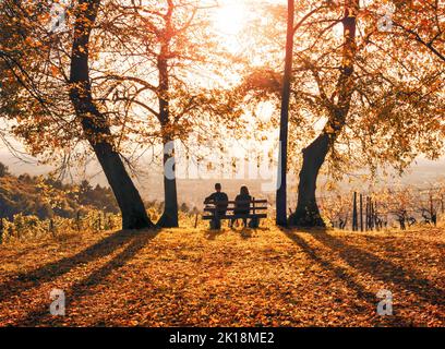 Silhouettes of two people sitting on a bench under trees and enjoying a beautiful sunny autumn afternoon Stock Photo