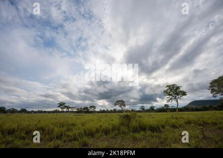 View of the savannah landscape with forest and dramatic clouds near Baiazinha Lodge in the Northern Pantanal, State of Mato Grosso, Brazil. Stock Photo