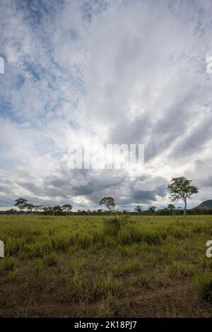 View of the savannah landscape with forest and dramatic clouds near Baiazinha Lodge in the Northern Pantanal, State of Mato Grosso, Brazil. Stock Photo