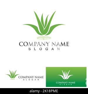 Aloe vera logo vector ilustration Stock Vector