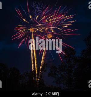Yellow, purple and blue fireworks exploding over trees in the sky, leaving trails as the arise and detonate with loud booms. Stock Photo
