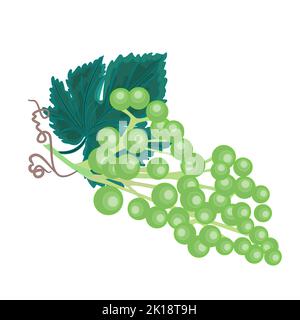 Grapevine background twig with leaves vector illustration Stock Vector