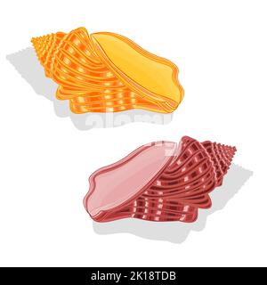 Two Sea shells Vector Illustration Stock Vector