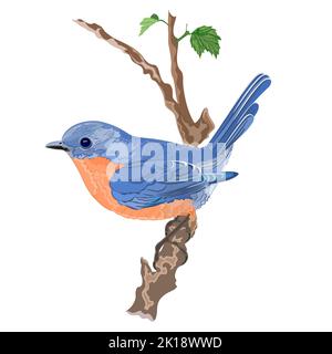 Little bird cute elegant blue orange on a twig shrubs vector illustration eps 8 Stock Vector