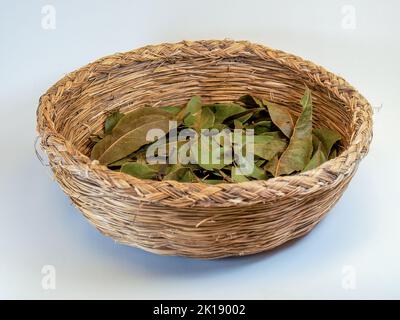 Studio shot of a used traditional straw basket with dry bay leaves on it on a neutral background Stock Photo