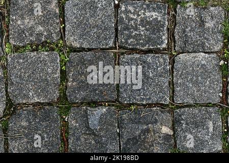 Paving stones. Paved pavement with sprouted green grass on a warm sunny day Stock Photo