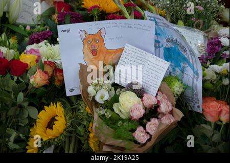 On September 14th, five days after the death of Queen Elizabeth 11, people continue to leave floral tributes in Green Park, London, England. Stock Photo