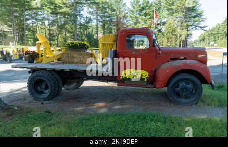 Old red flatbed truck decorated with flowers and chairs in Cottage Country, Ontario Stock Photo