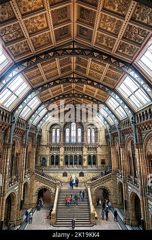 Marvel at the Splendors of London's Natural History Museum: A Journey through Nature's Wonders Stock Photo
