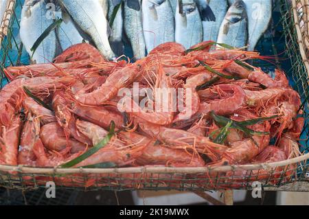 Mediterranean's Bounty: Captivating Red Tiger Prawns at the Vibrant Fish Market in Cagliari, Sardinia, Italy Stock Photo