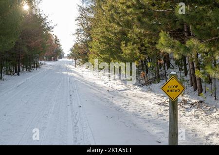 Stop ahead sign on a snow covered snowmobile and hiking trail through a forest in Central Minnesota. Paul Bunyan State Trail in Nisswa. Stock Photo