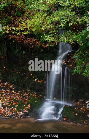 A small waterfall along Laurel Canyon Road flows into the Little River in Great Smoky Mountains National Park, Tennessee Stock Photo