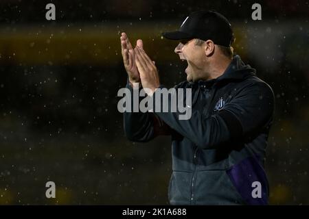 RSCA Futures' head coach Robin Veldman talks to his players after a soccer  match between RSC, Stock Photo, Picture And Rights Managed Image. Pic.  VPM-43653717