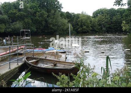 Kenwood Ladies Pond Hampstead Heath London UK Stock Photo Alamy