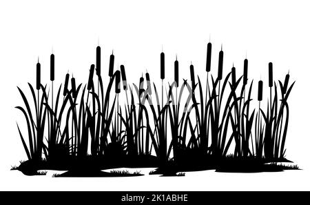 River bank with reeds. Swamp landscape. View of the river bank. Silhouette picture. Isolated on white background. Vector. Stock Vector
