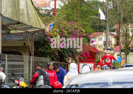 CAMERON HIGHLAND, MALAYSIA - Sep 16, 2022 Tourists going to the local restaurants in Cameron Highlands. Cameron Highlands is one of Malaysia's most po Stock Photo